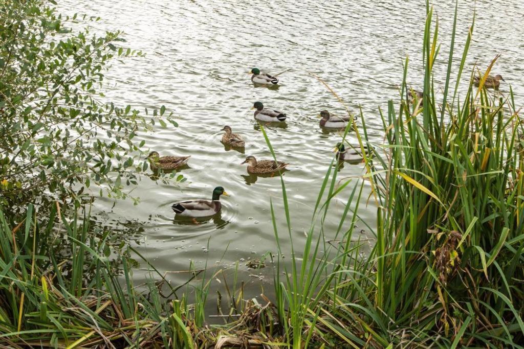 Mallard Lake South Cerney Exterior photo